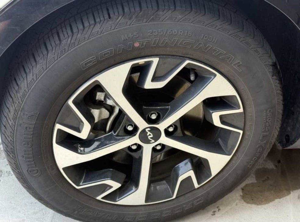 기아 스포티지 1.6 터보HEV 2WD 사진 7
