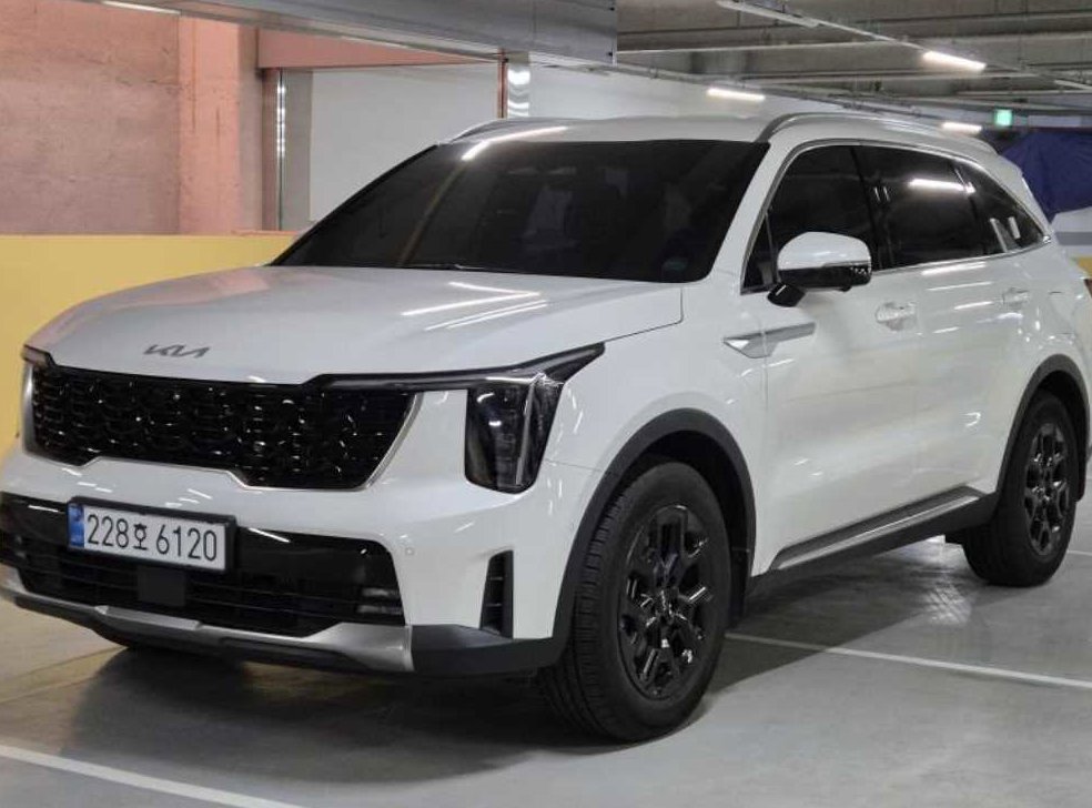 기아 쏘렌토 1.6T 2WD 시그니처 사진 2