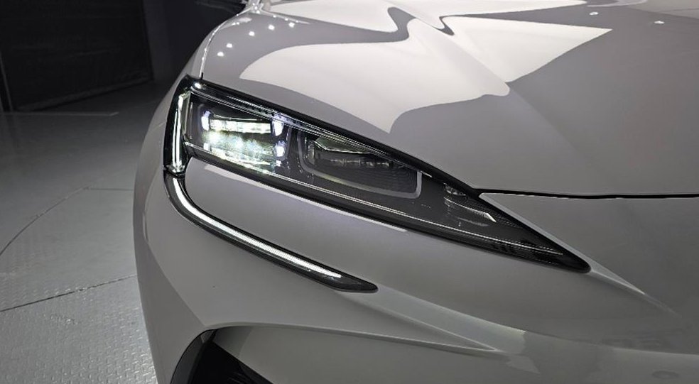 BYD 사진 7