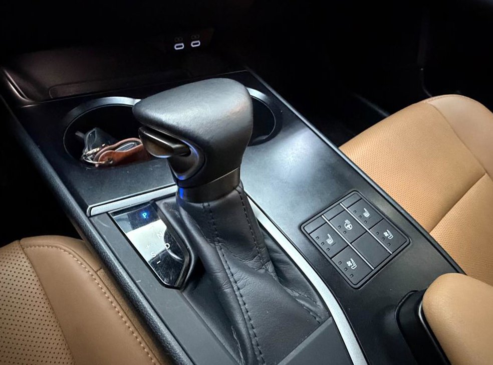 렉서스 UX 2.0 2WD 사진 10