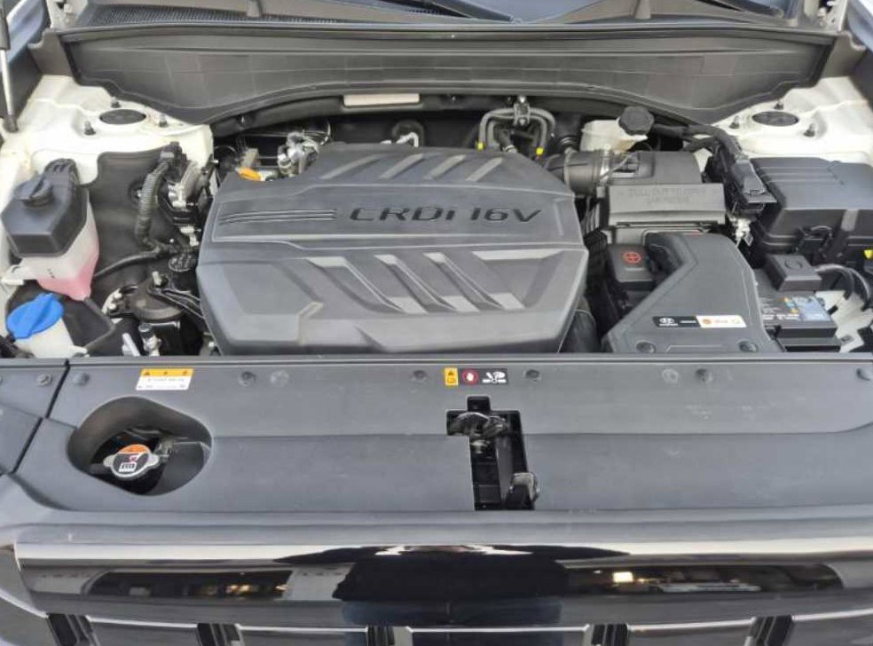 현대 팰리세이드 디젤 2.2 4WD 사진 18