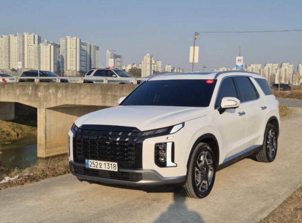 현대 팰리세이드 디젤 2.2 4WD 사진 2