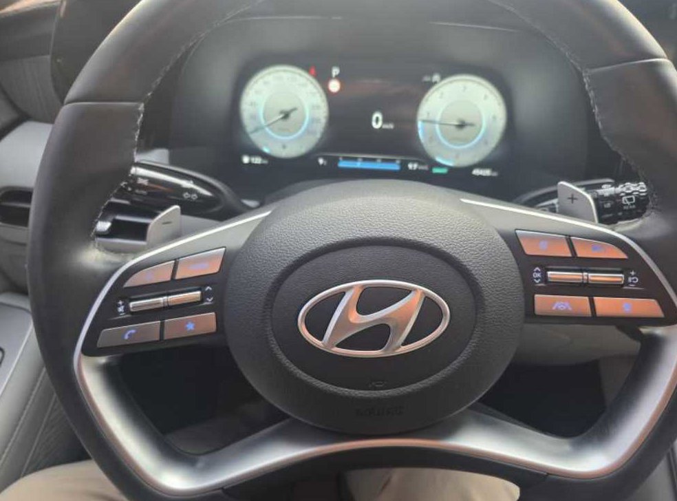 현대 팰리세이드 디젤 2.2 2WD 사진 10