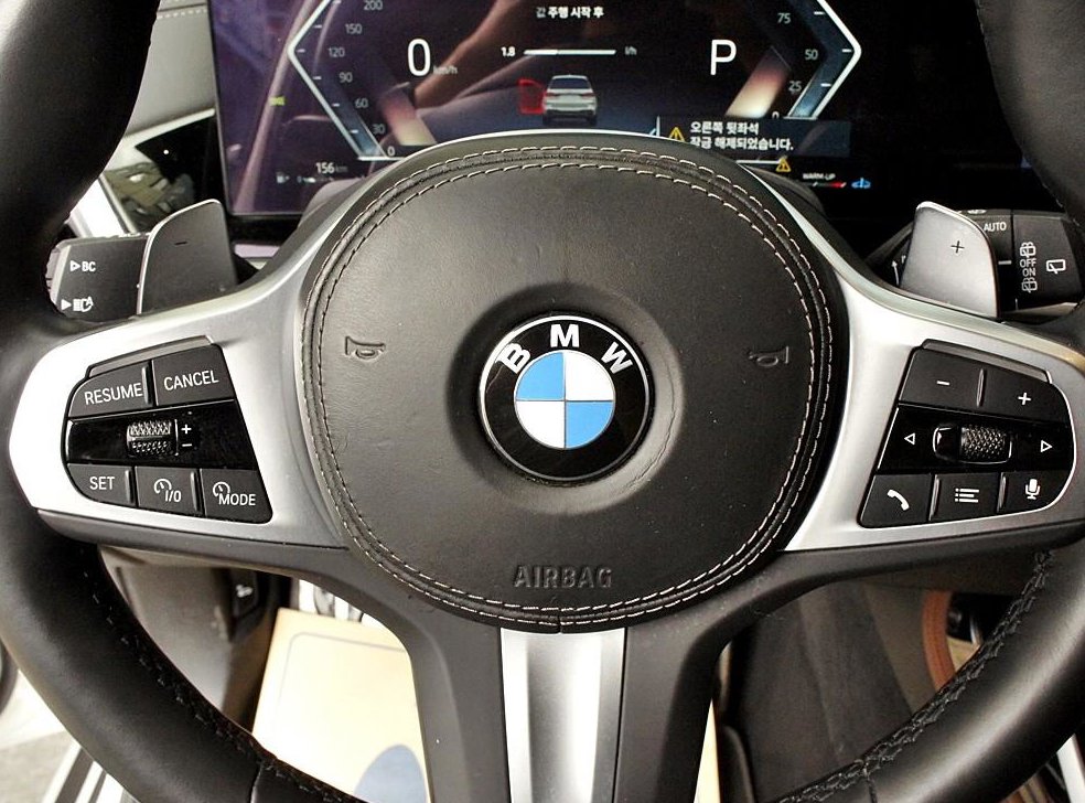 BMW X7 xDrive 40d M 스포츠 사진 8