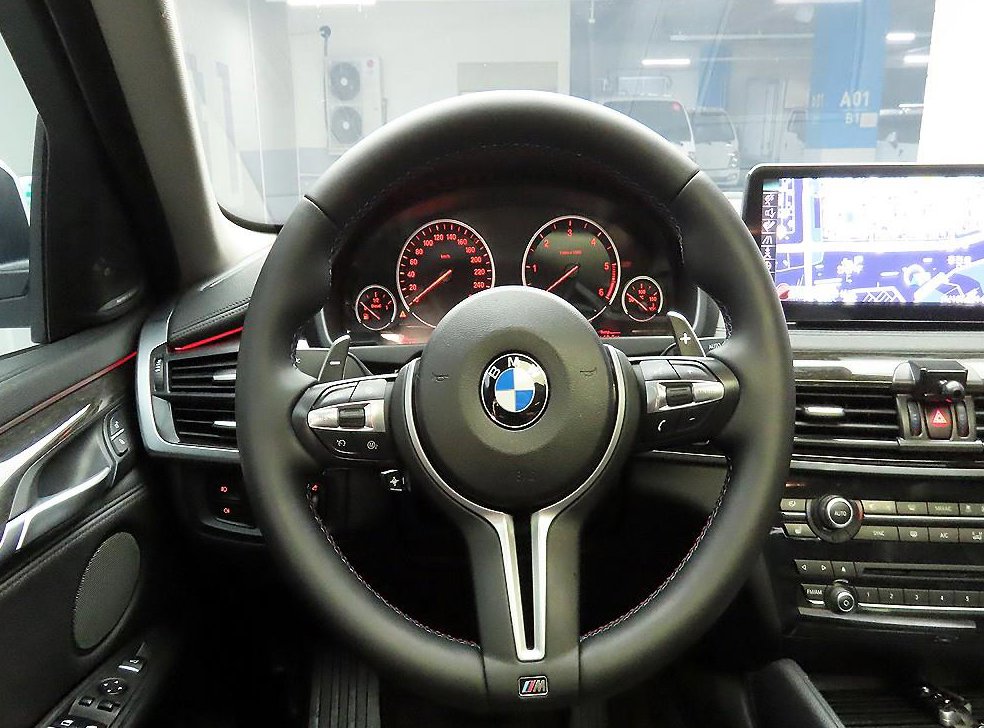 BMW X6 xDrive 30d 사진 7