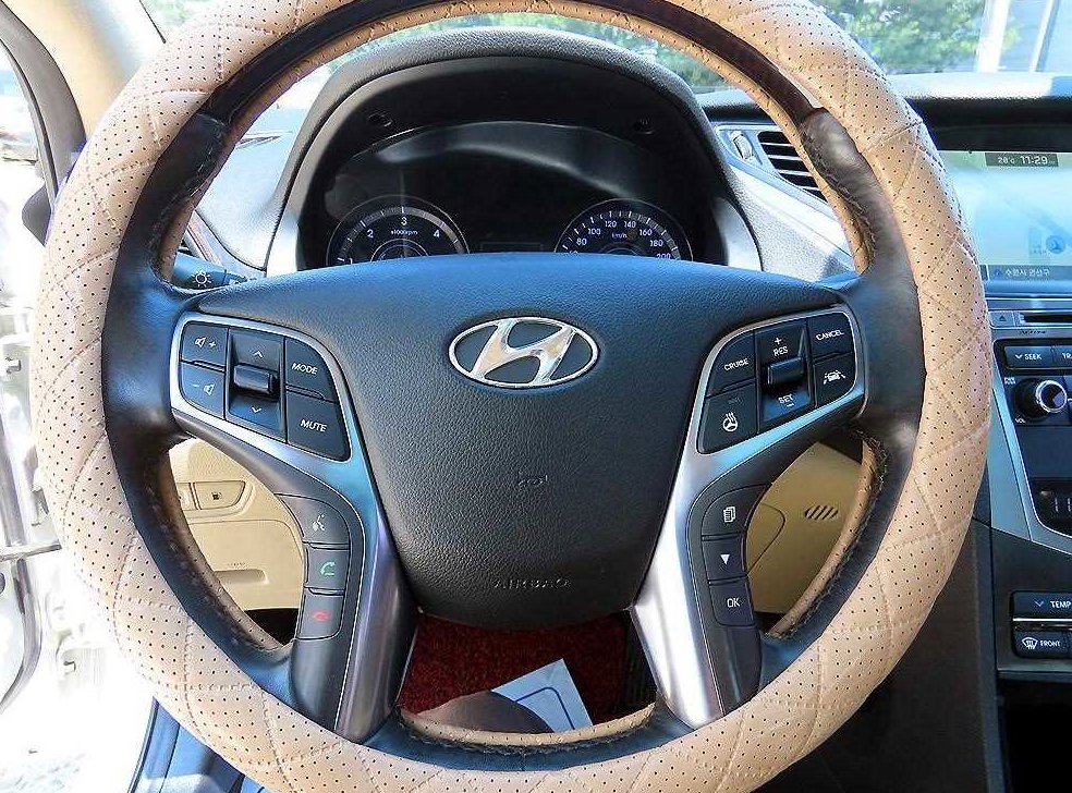 현대 그랜저 HG220 PREMIUM 사진 8