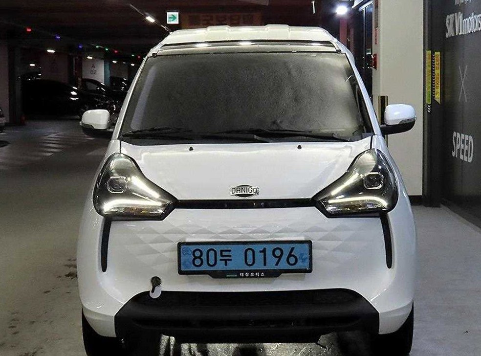 기타제조사 다니고 EV 사진 2