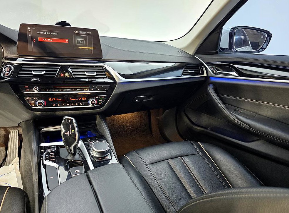 BMW 5시리즈 520d 럭셔리 스페셜 에디션 사진 10