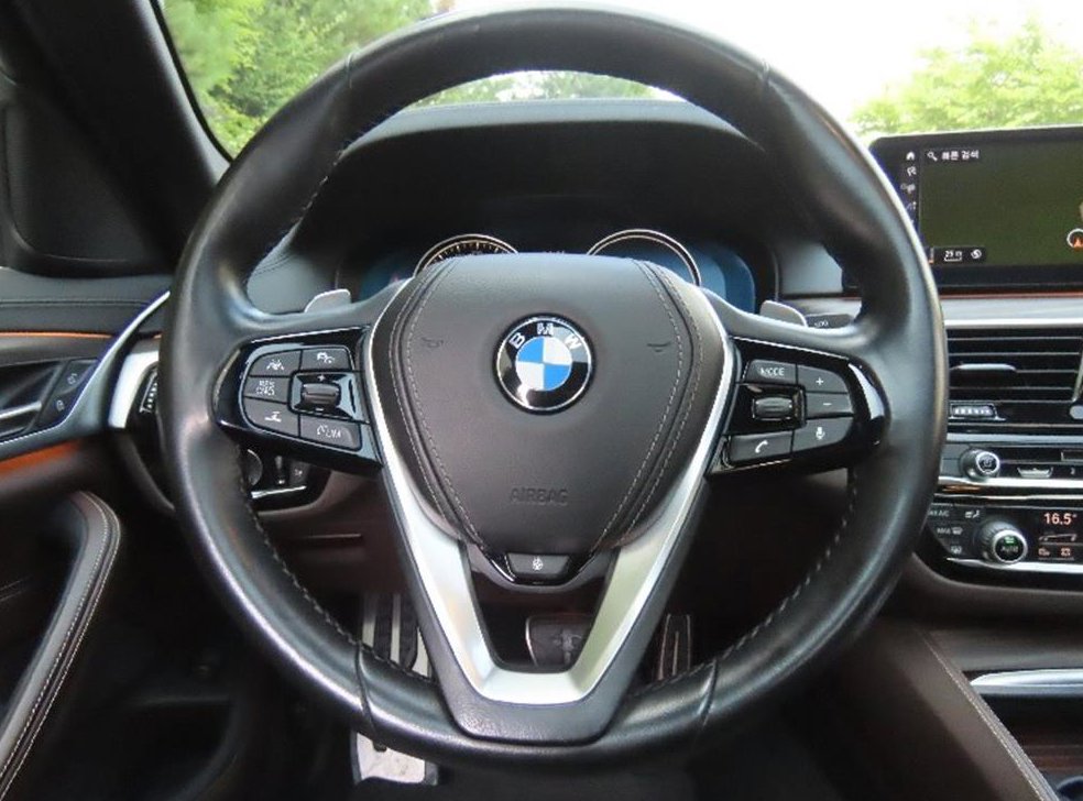 BMW 5시리즈 530i xDrive M 스포츠 플러스 사진 16