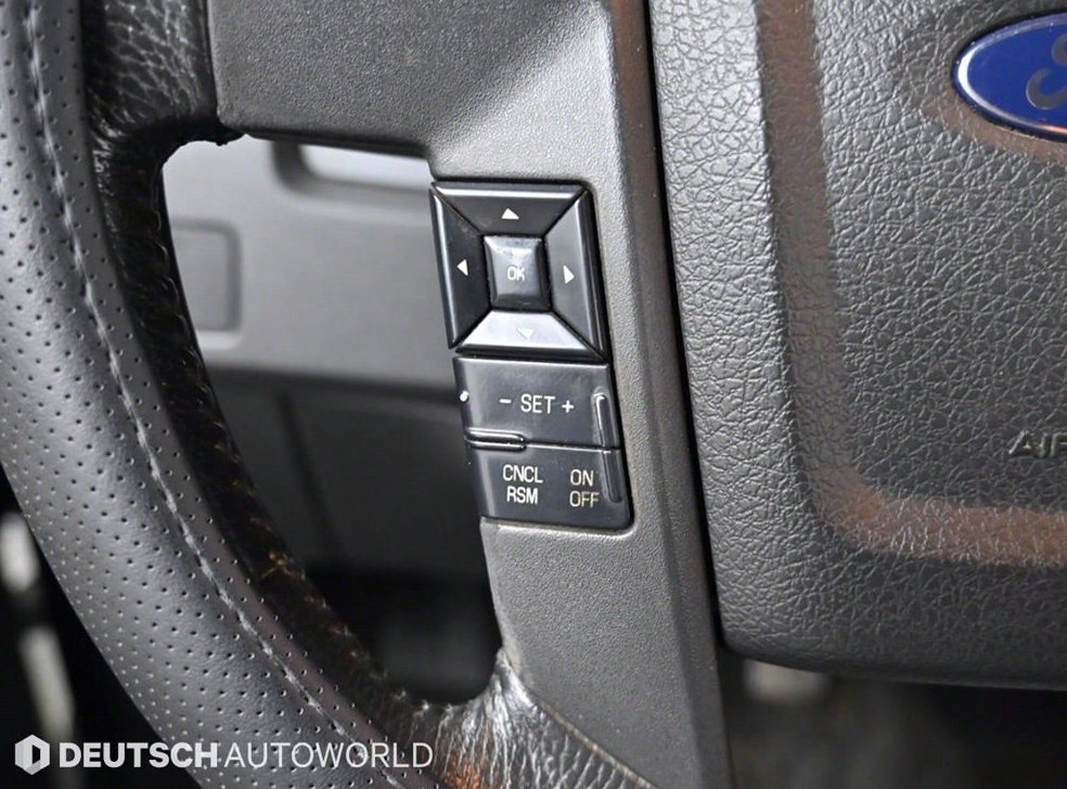 포드 F-Series 5.0L 사진 17