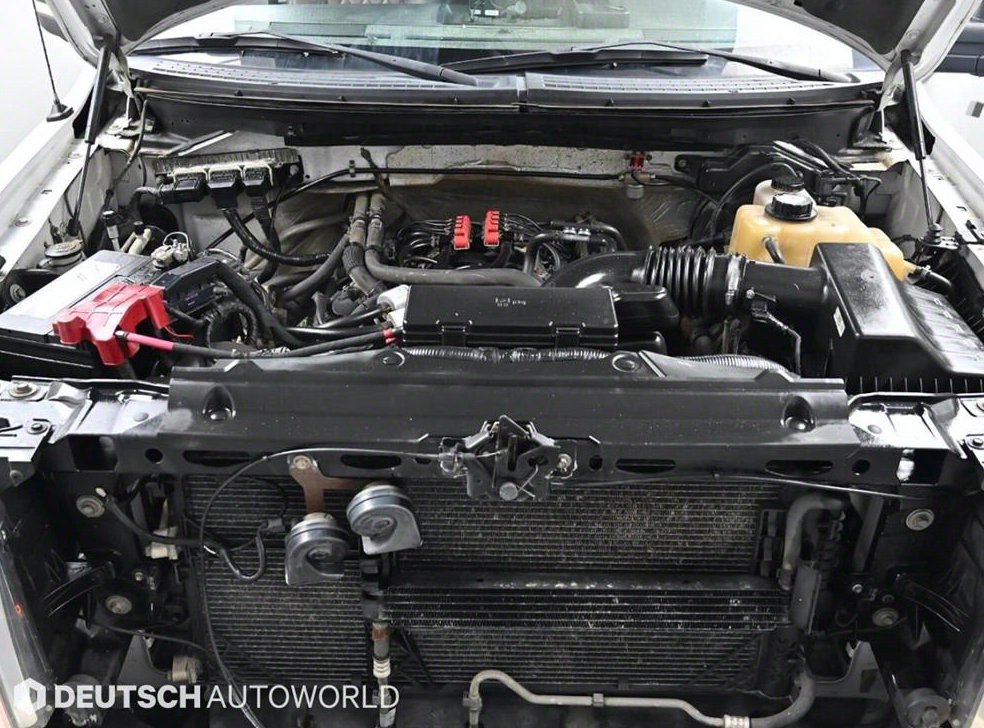 포드 F-Series 5.0L 사진 6