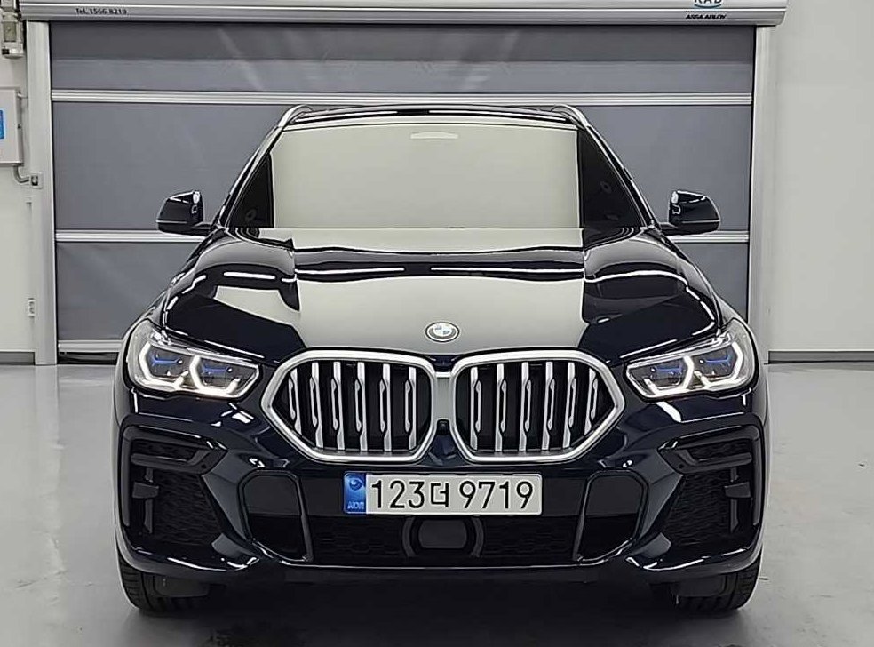 BMW X6 xDrive 40i M 스포츠 사진 2