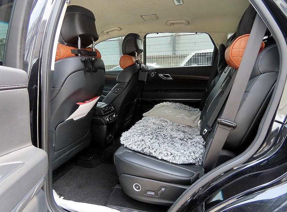 제네시스 GV80 디젤 3.0 AWD 사진 6