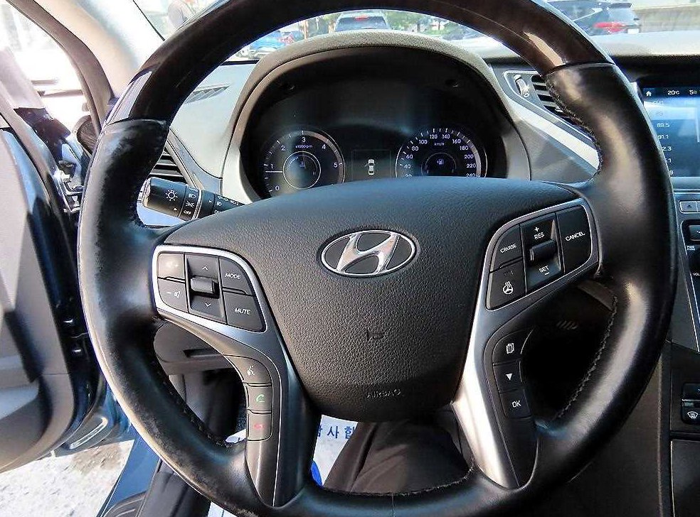 현대 그랜저 HG220 PREMIUM 사진 8