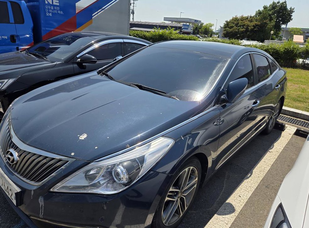 현대 그랜저 HG220 PREMIUM 사진 3
