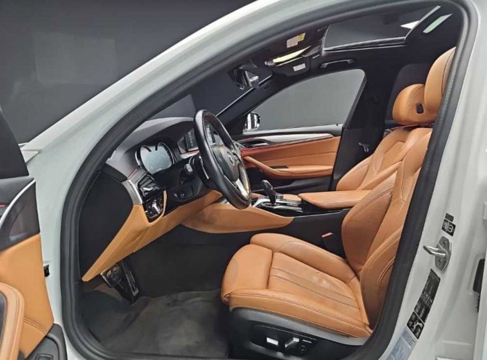 BMW 5시리즈 530i xDrive M 스포츠 사진 18