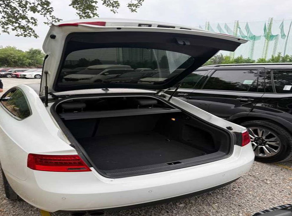 아우디 A5 2.0 TDI 콰트로 다이나믹 스포츠백 사진 11