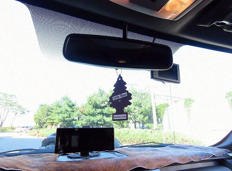 포드 F-Series 3.5L 사진 15
