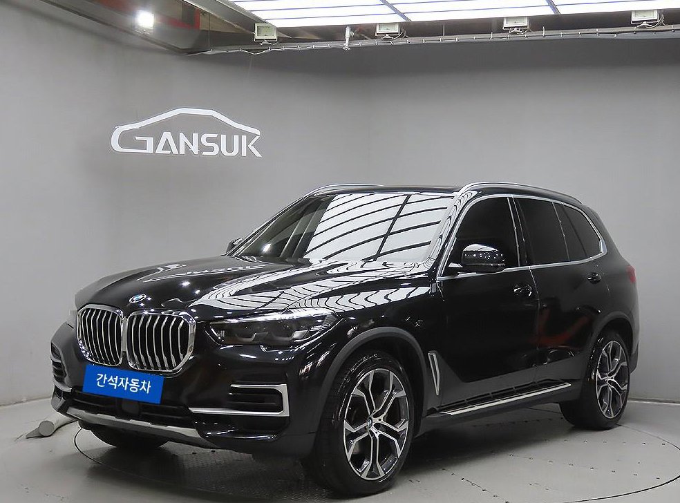 BMW X5 xDrive 30d xLine 사진 2
