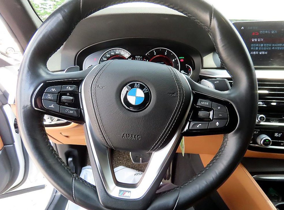 BMW 5시리즈 520d M 스포츠 스페셜 에디션 사진 8