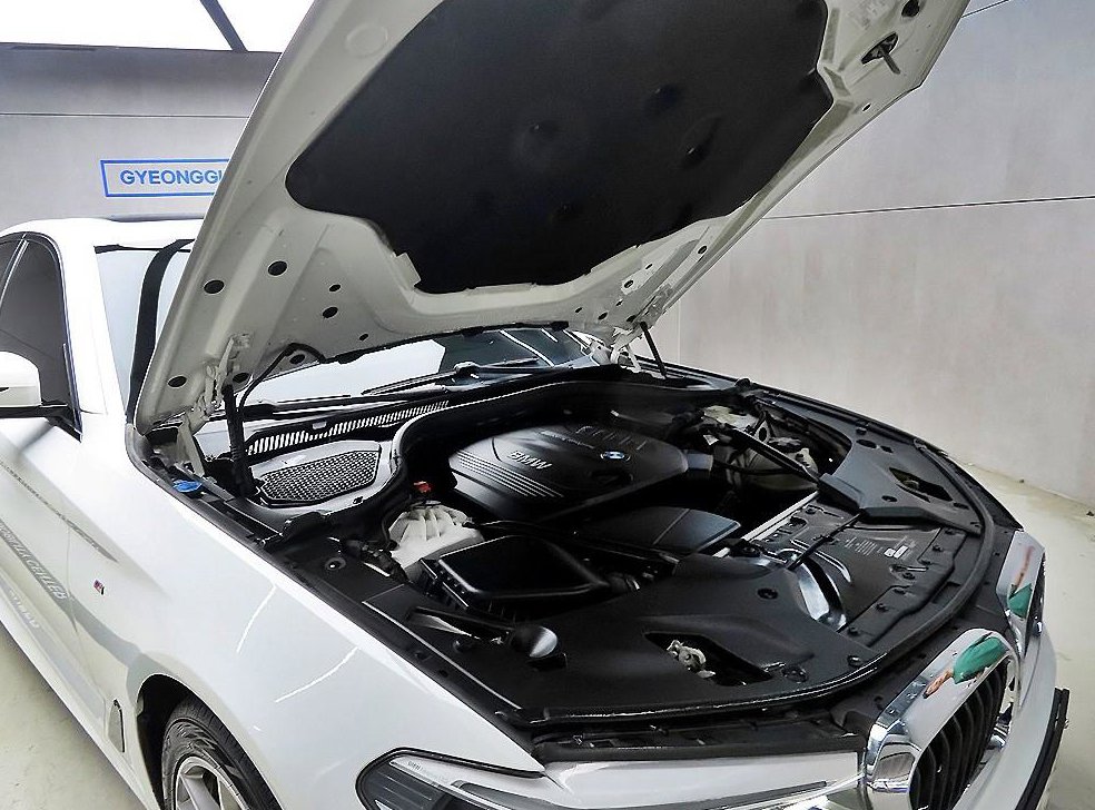 BMW 5시리즈 520d xDrive M 스포츠 플러스 사진 19