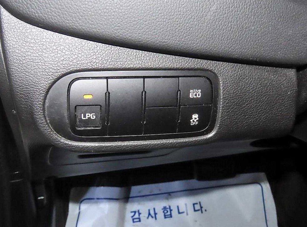 기아 카렌스 2.0 LPI 럭셔리 사진 14