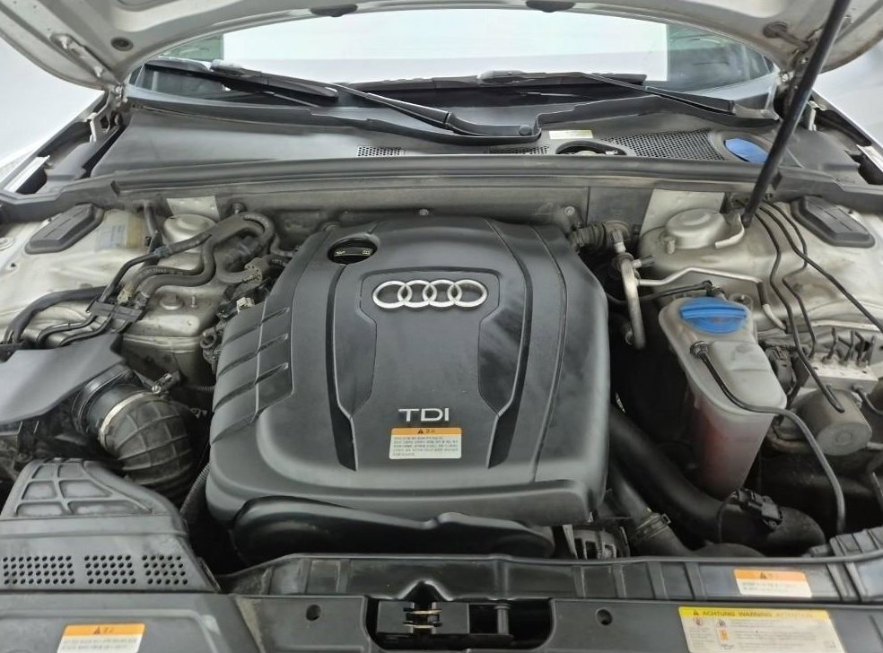 아우디 A5 2.0 TDI 콰트로 다이나믹 스포츠백 사진 6