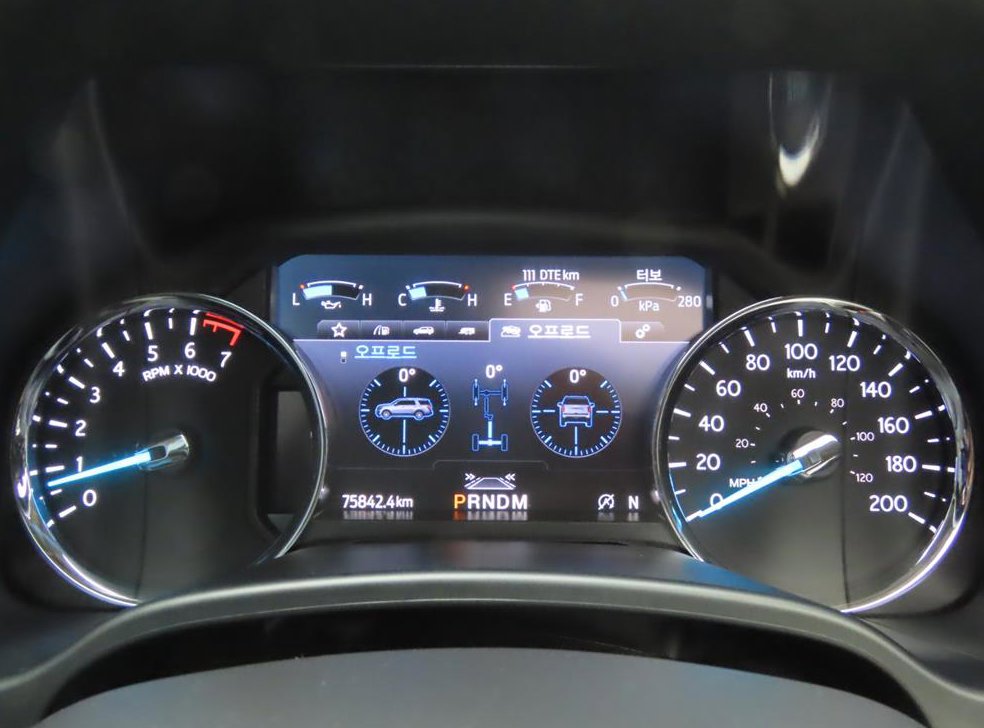 포드 익스피디션 3.5 EcoBoost Platinum 사진 10