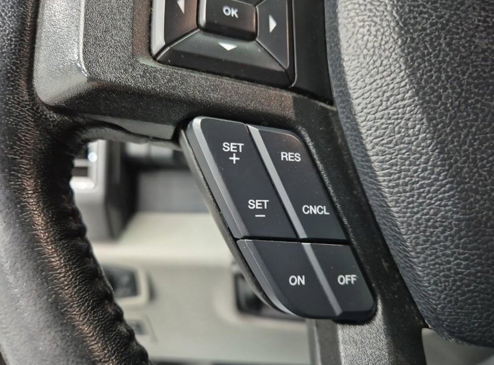 포드 F-Series 3.5L 사진 15