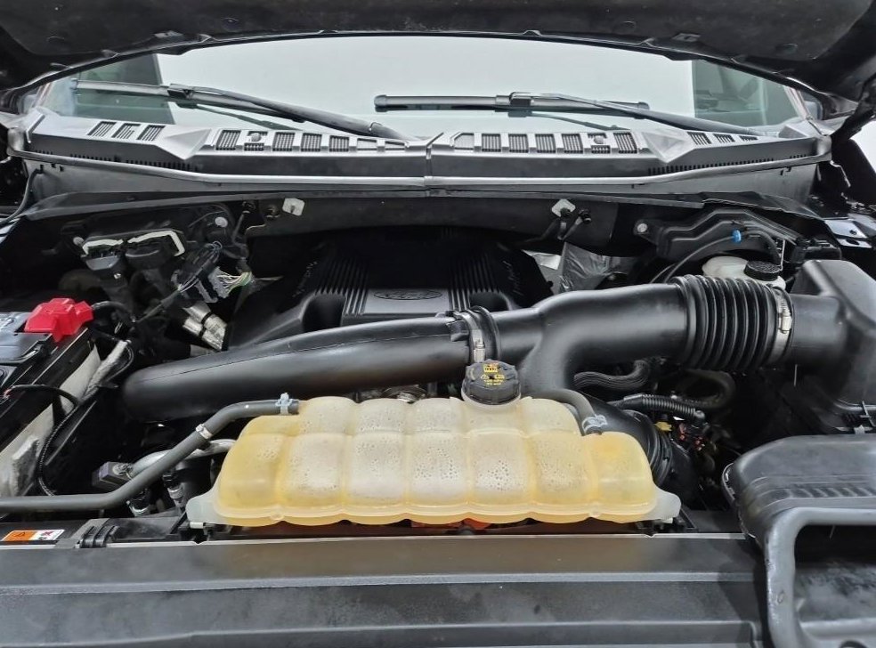포드 F-Series 3.5L 사진 5