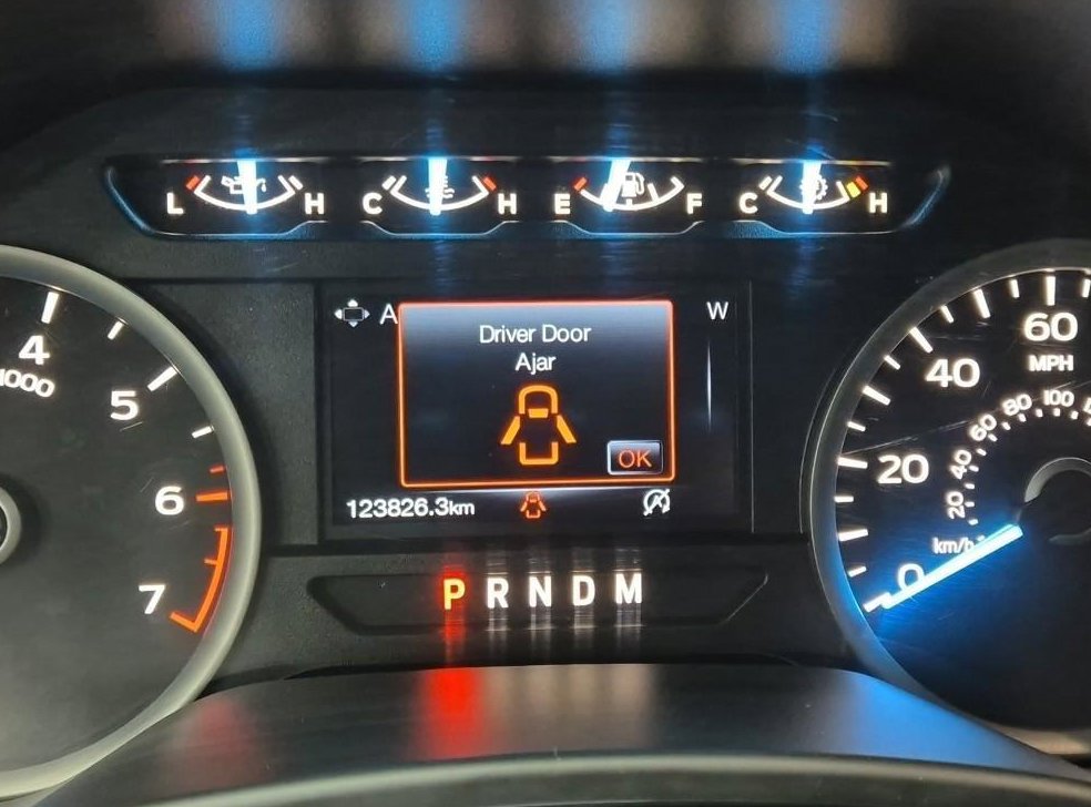 포드 F-Series 3.5L 사진 6