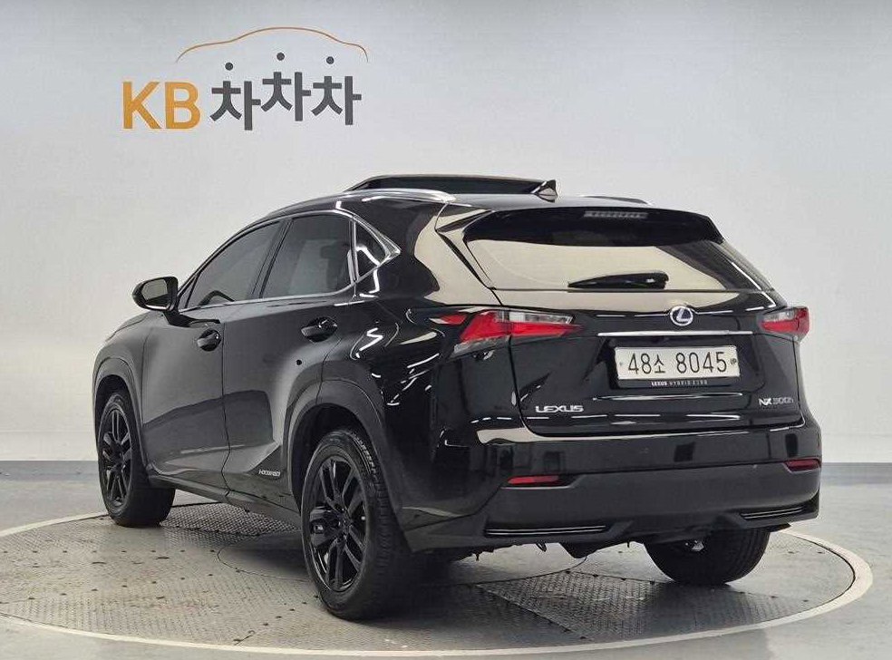 렉서스 NX 슈프림 사진 2