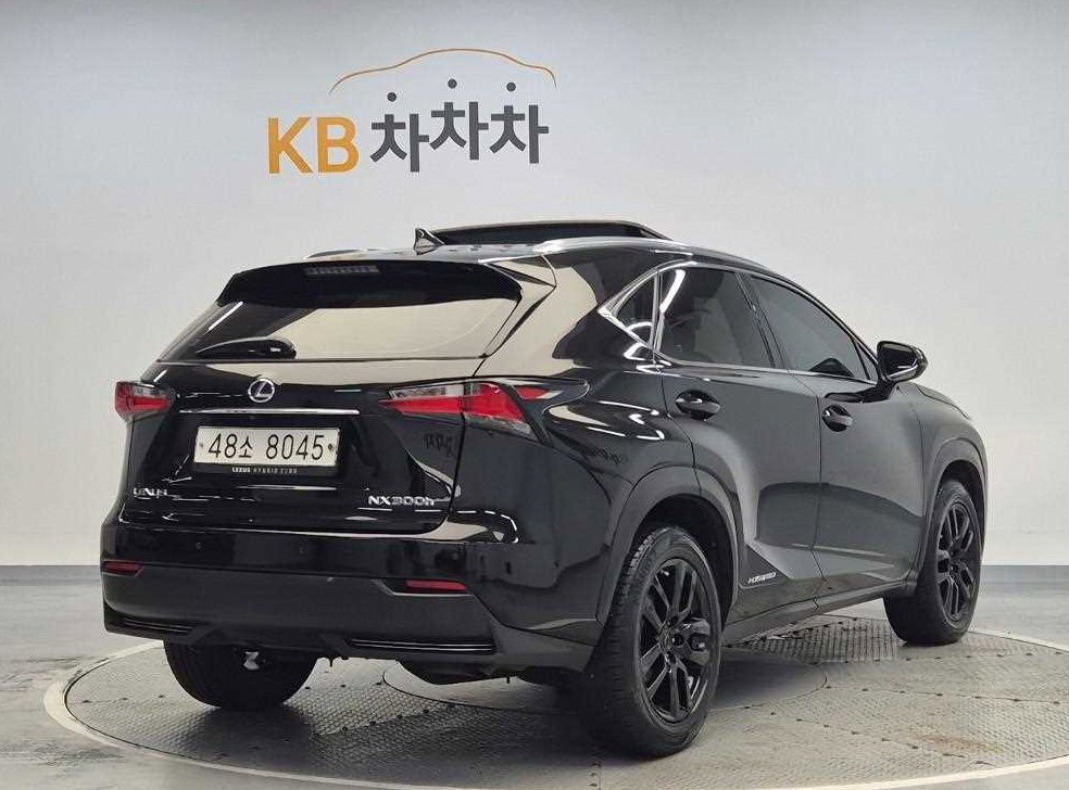 렉서스 NX 슈프림 사진 3