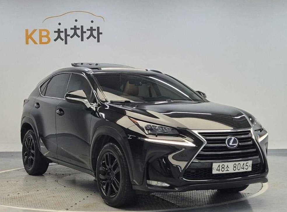 렉서스 NX 슈프림 사진 4