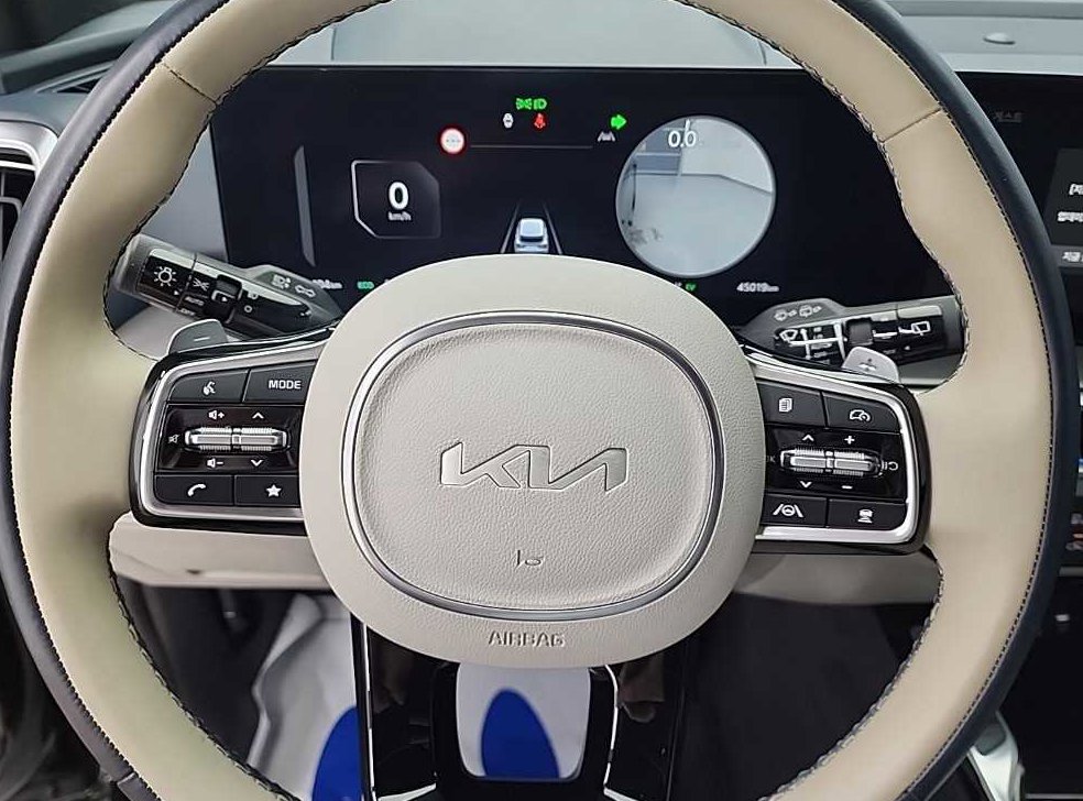 기아 쏘렌토 1.6T 2WD 시그니처 그래비티 사진 9