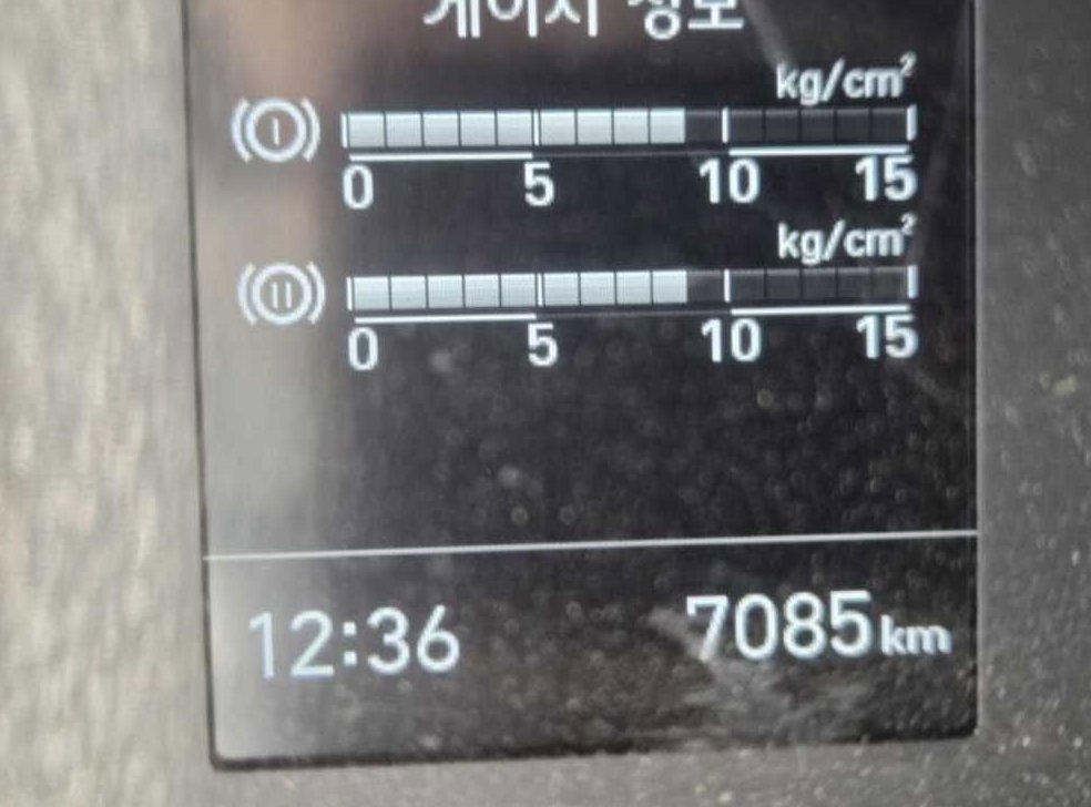  사진 10