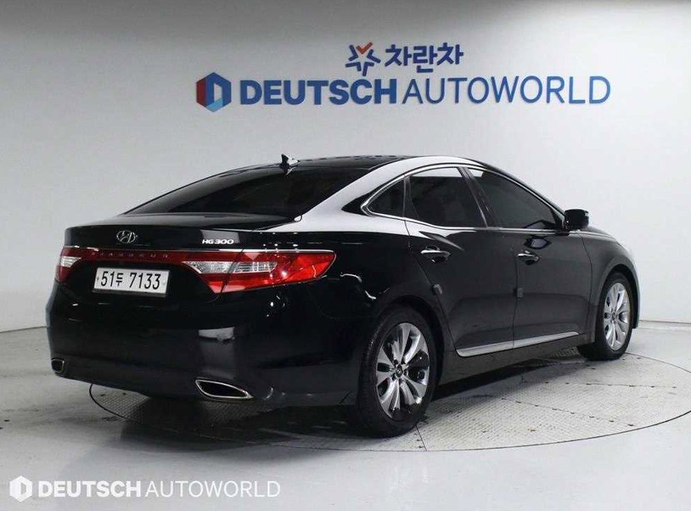 현대 그랜저 HG300 NOBLE 사진 3
