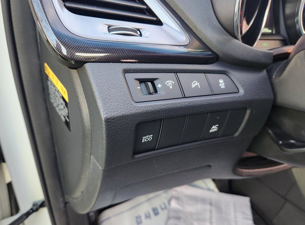 현대 맥스크루즈 R2.2 2WD 익스클루시브 사진 14