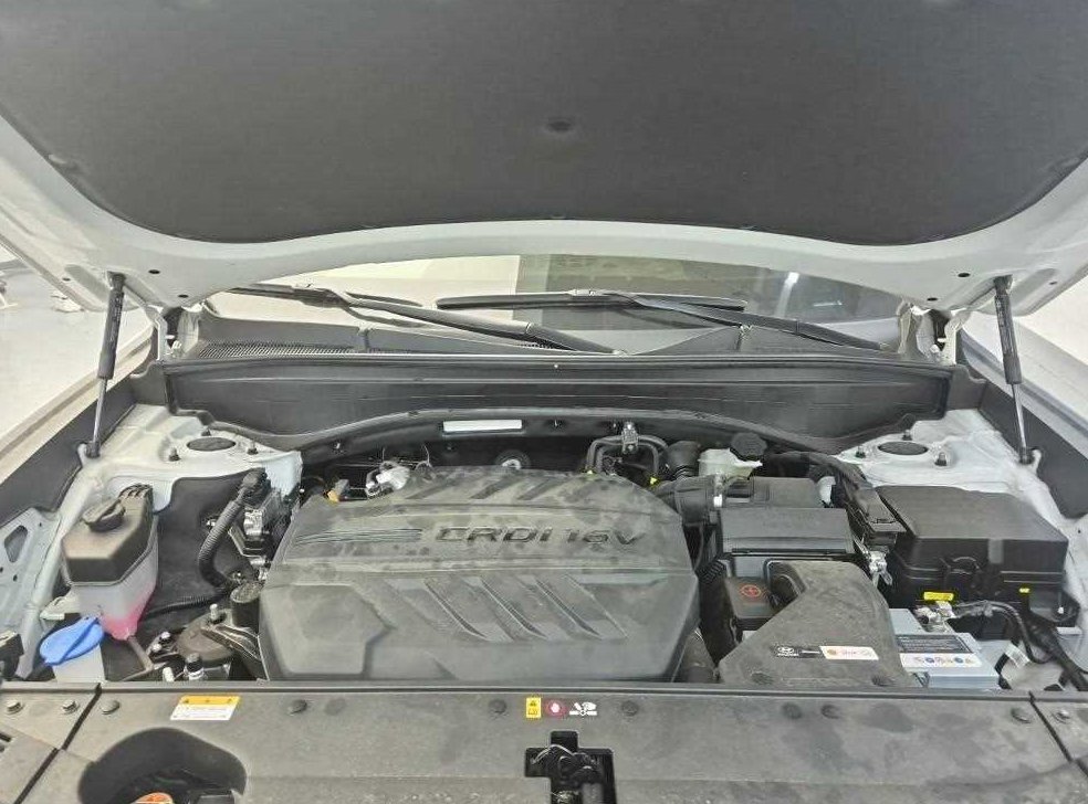 현대 팰리세이드 디젤 2.2 4WD 사진 5