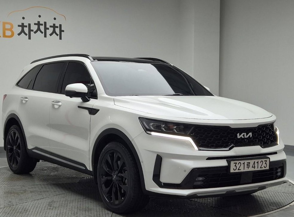 기아 쏘렌토 디젤 2.2 2WD 그래비티 사진 4
