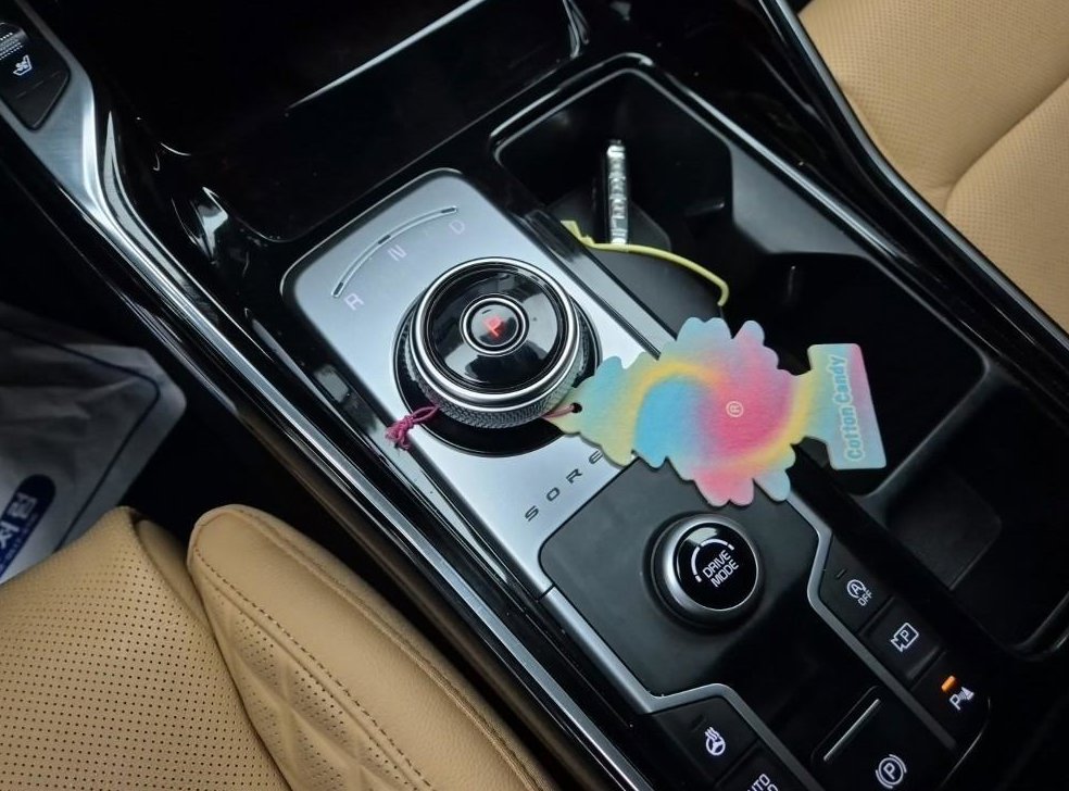 기아 쏘렌토 디젤 2.2 2WD 그래비티 사진 8