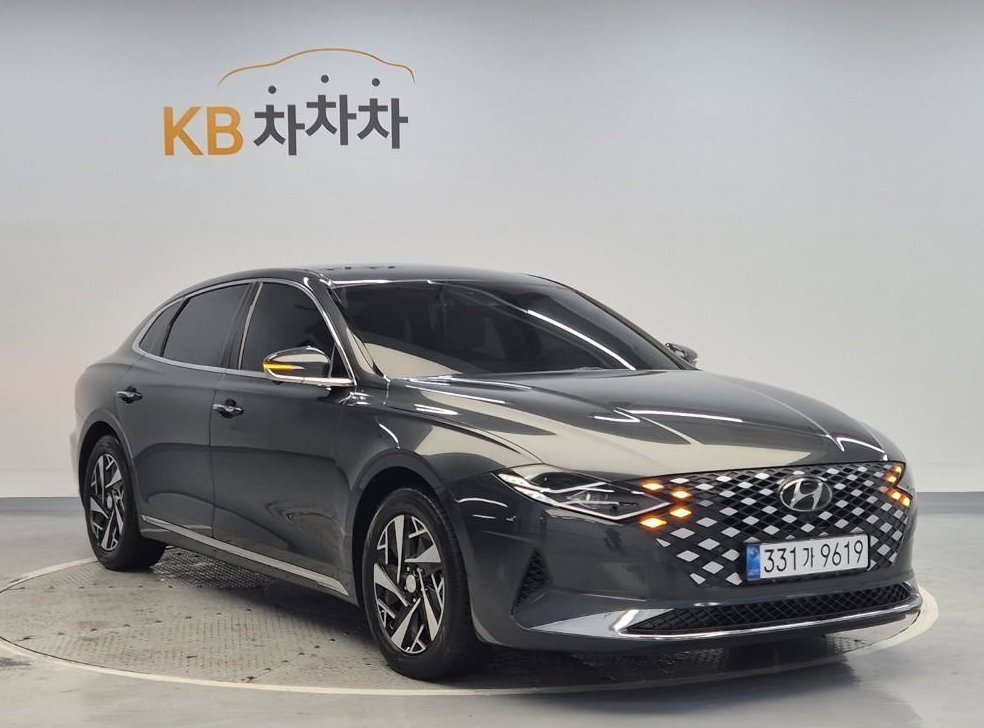 현대 그랜저 르블랑 사진 4