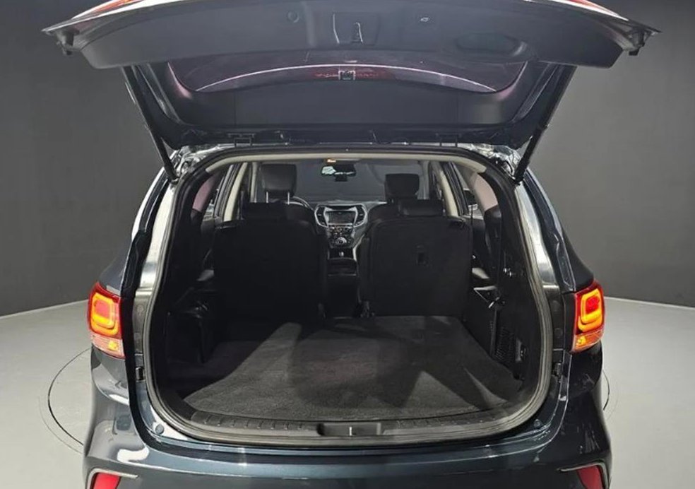 현대 맥스크루즈 E-VGT R2.2 4WD 사진 19