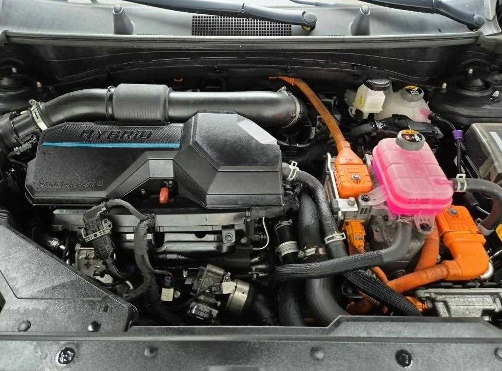 기아 스포티지 1.6 터보HEV 2WD 사진 5