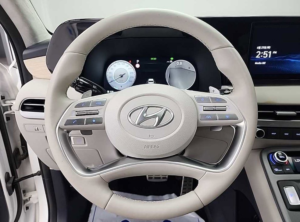 현대 팰리세이드 디젤 2.2 2WD 사진 9