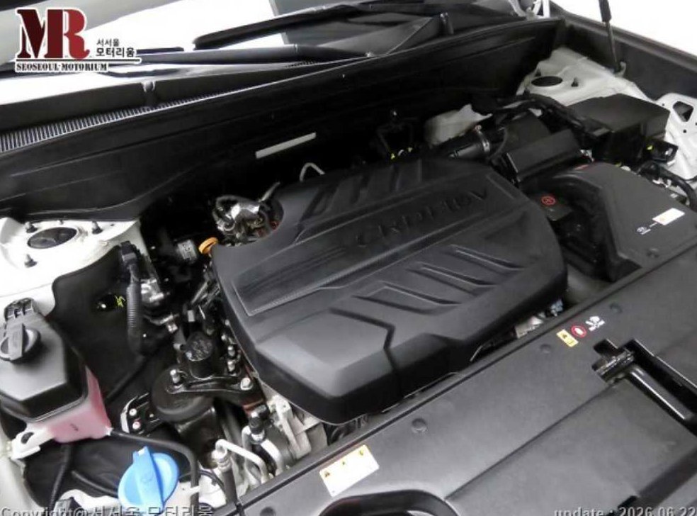 현대 팰리세이드 디젤 2.2 4WD 사진 19