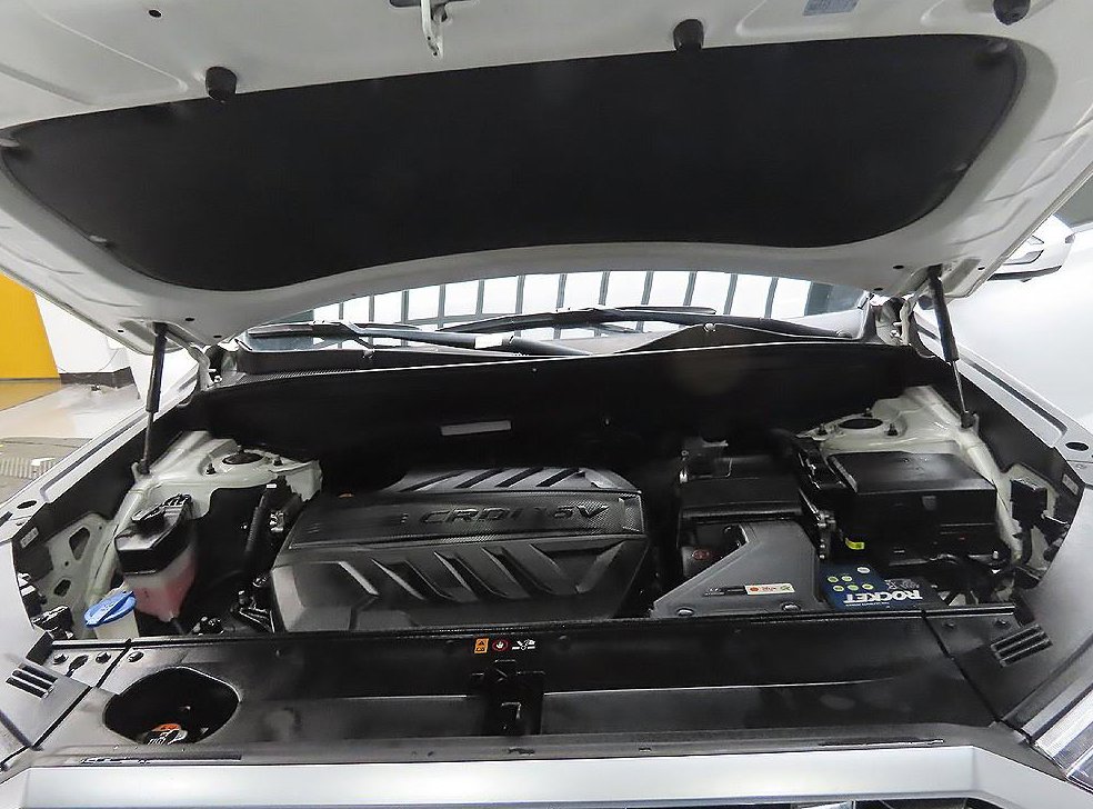 현대 팰리세이드 디젤 2.2 4WD 사진 8