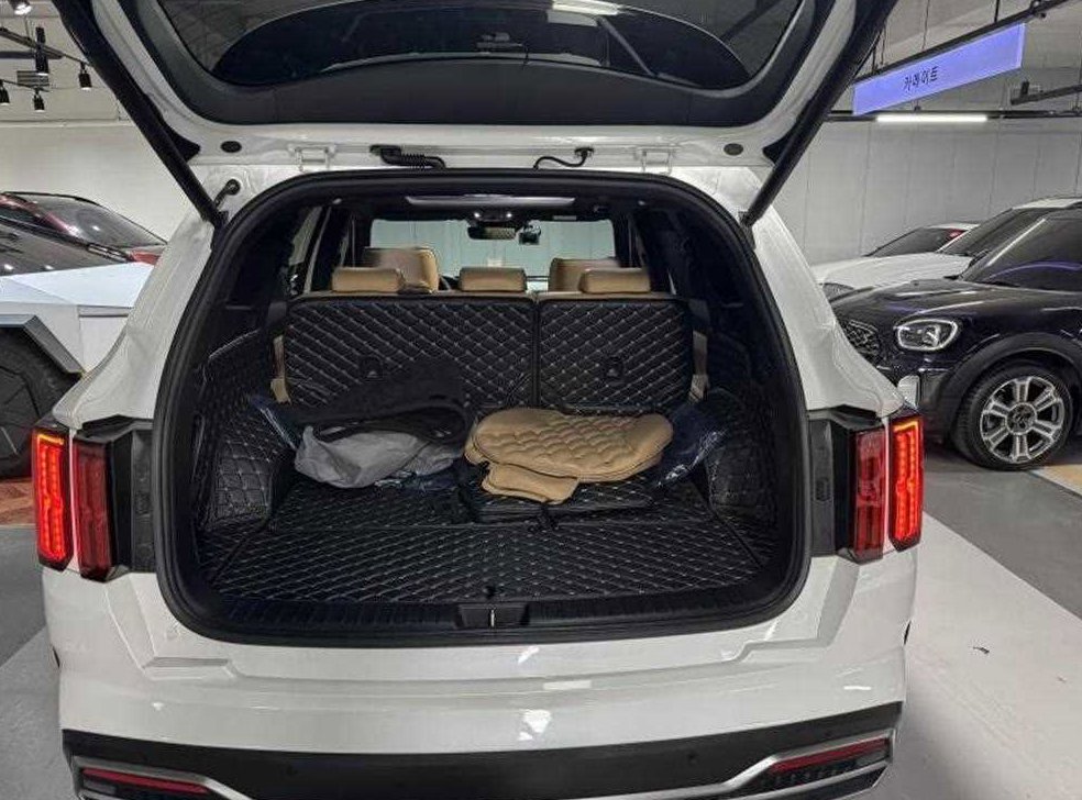 기아 쏘렌토 디젤 2.2 2WD 시그니처 사진 18