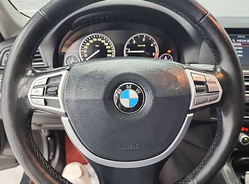 BMW 5시리즈 520d 럭셔리 플러스 프로 사진 9