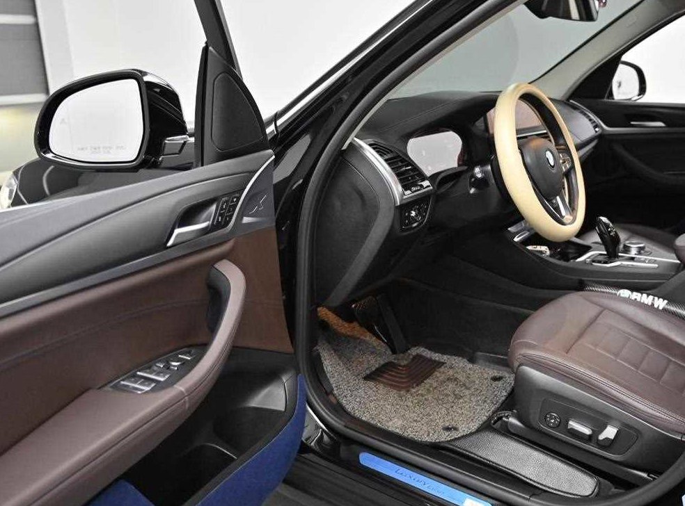 BMW X3 xDrive 20i 럭셔리 사진 11